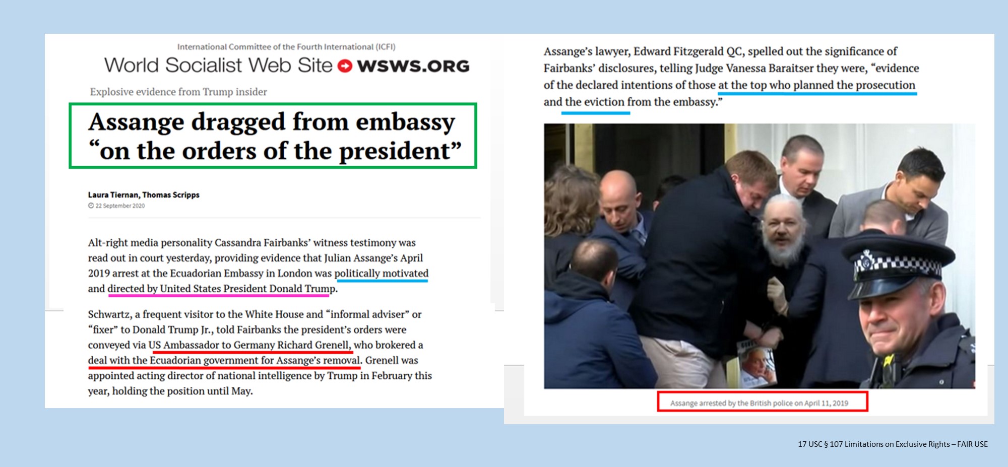 Julian Assange Kidnapping17