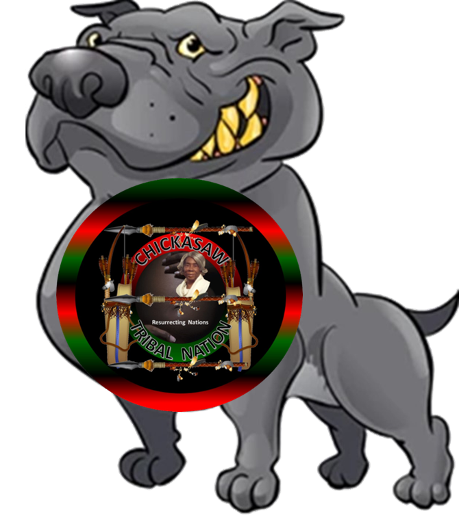 CTN Pitt Bull